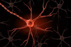 Neuroblastoma Therapy - A New Hope