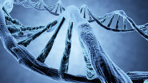 Non-Invasive Prenatal Genetic Testing